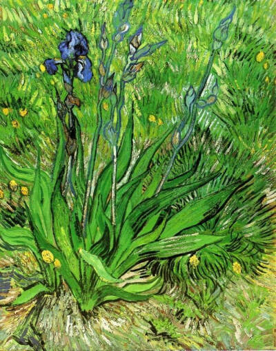 梵高 van gogh