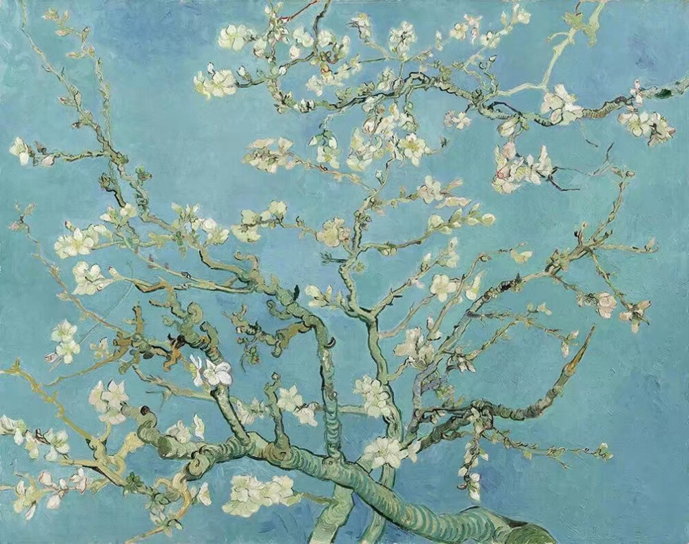 梵高 van gogh