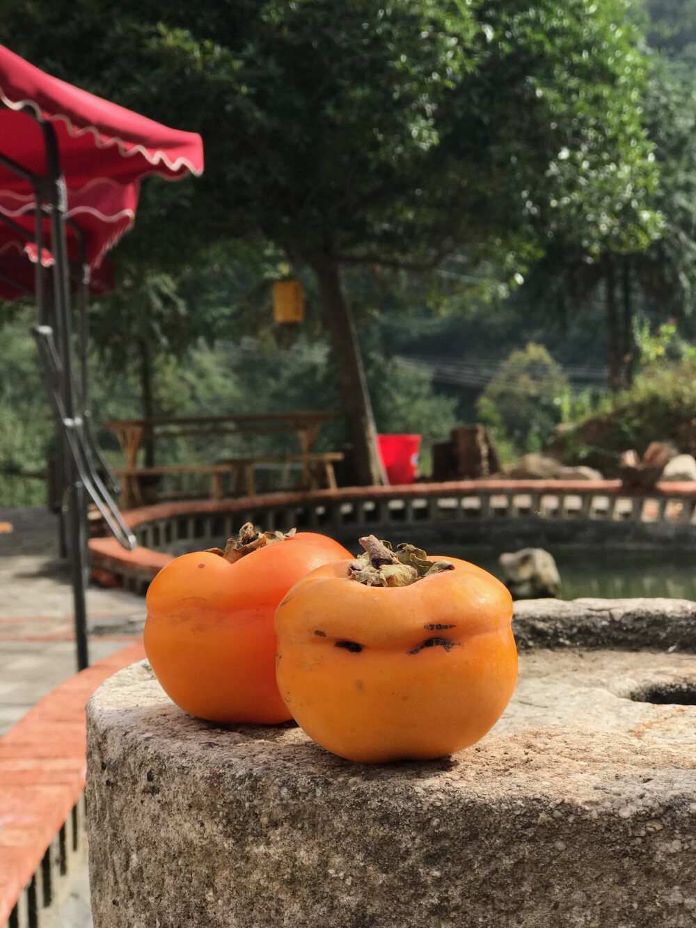 原生态峡谷，小众小资旅行地，感悟生活！