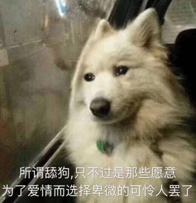 自己还是一如既往的恶心呢