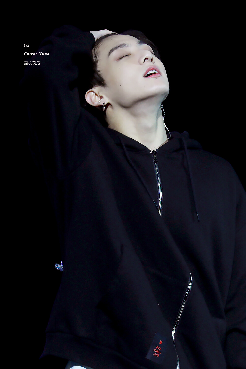  181208 BTS WORLD TOUR “LOVE YOURSELF” in TAOYUAN
#田柾国