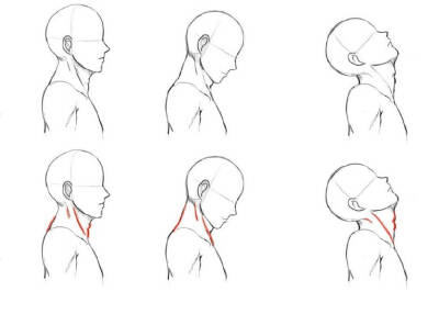 头部脖子角度