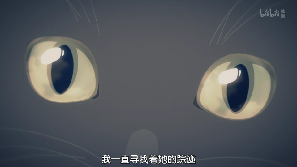 她和她的猫