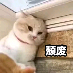 各种猫猫表情包