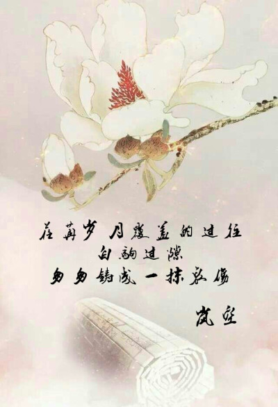 做图