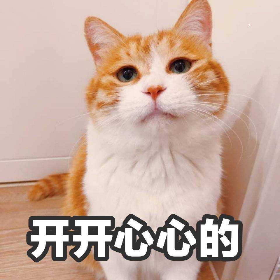 猫 沙雕 表情包 追星