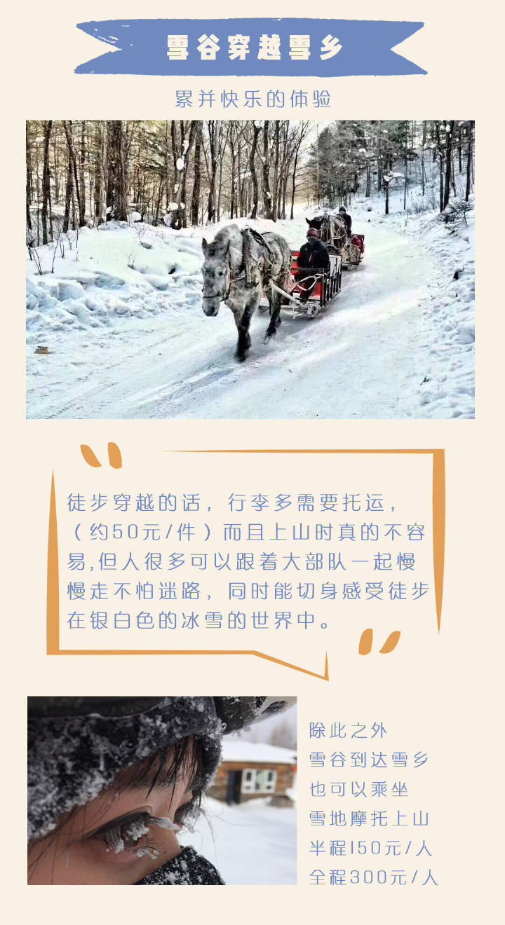 【南方小伙伴体验哈尔滨冰雪王国干货攻略】哈尔滨-雪谷-雪乡 吃喝玩乐打卡 路线 住宿 饮食 零下20度生存指南 你想得到的 想不到的都在这