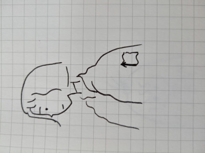 简笔画 学生时代