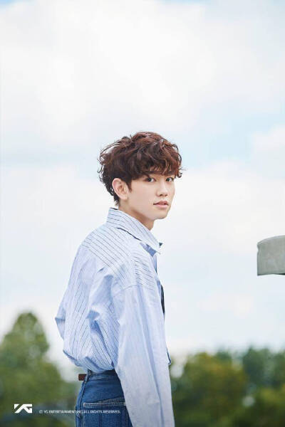 MASHIHO