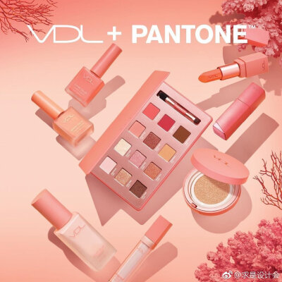 pantone 官方发布了 2019 年度的代表色，Living Coral（活珊瑚橘）当选。#求是爱设计#