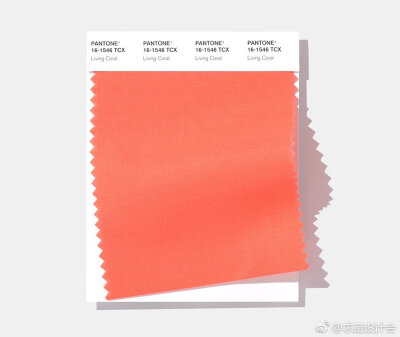 pantone 官方发布了 2019 年度的代表色，Living Coral（活珊瑚橘）当选。#求是爱设计#