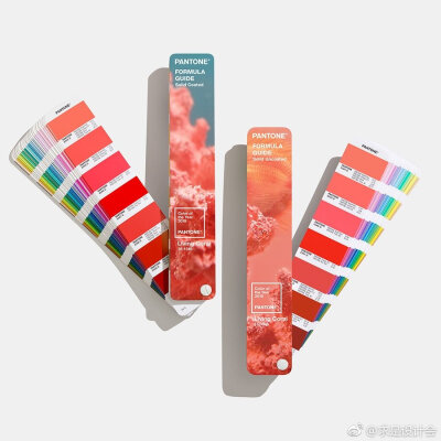 pantone 官方发布了 2019 年度的代表色，Living Coral（活珊瑚橘）当选。#求是爱设计#