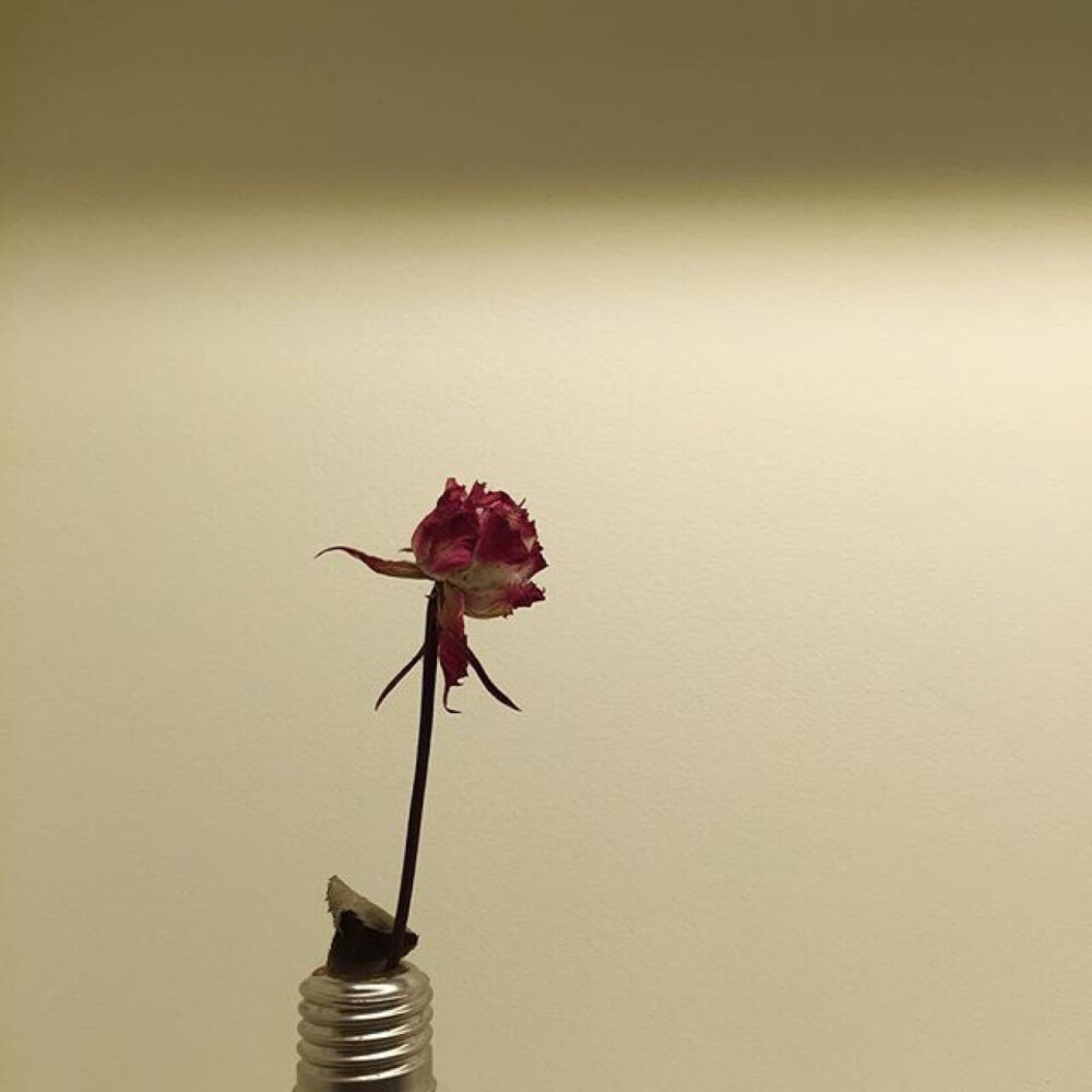 背景图