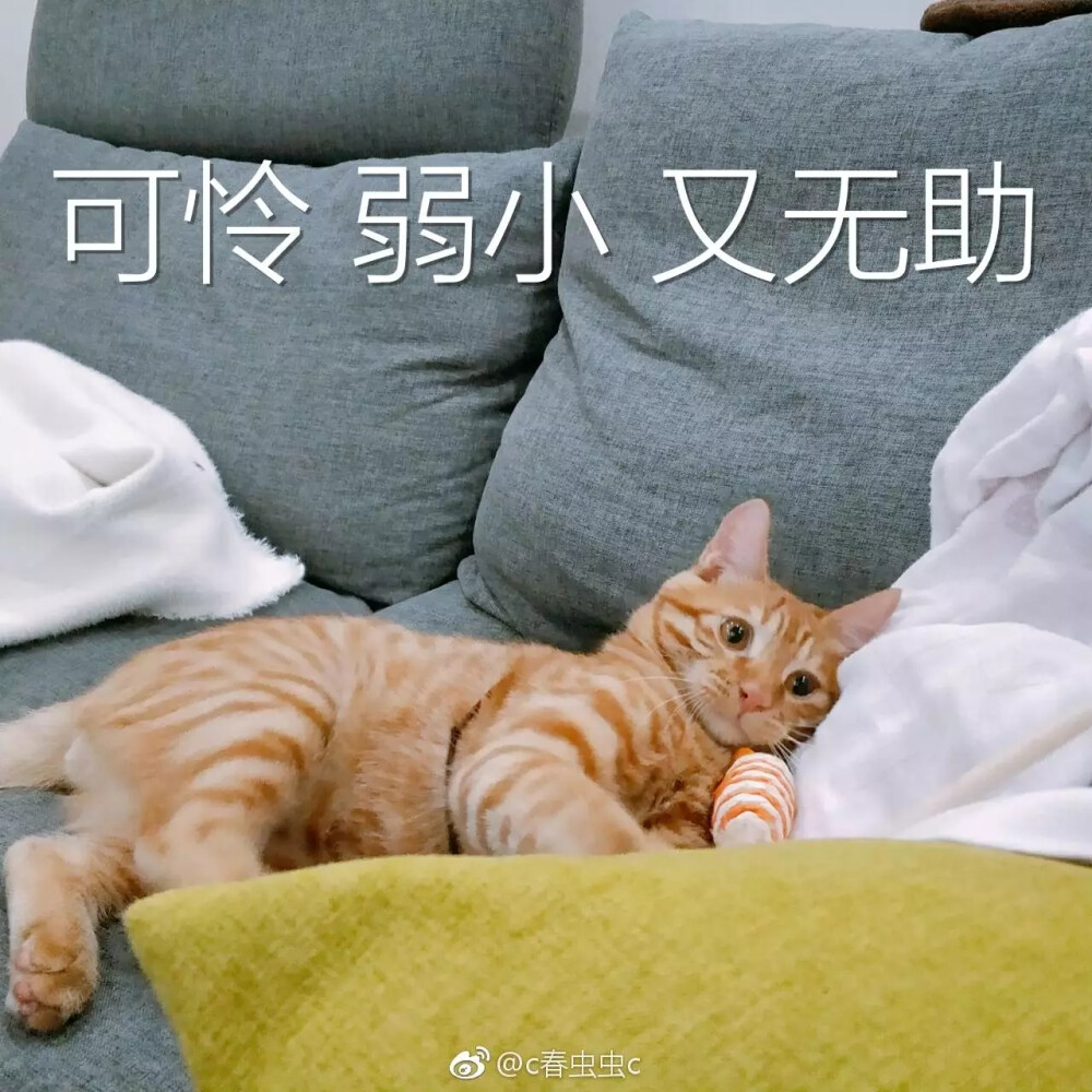 表情包