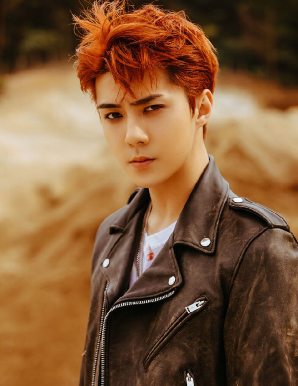 DON'T MESS UP MY TEMPO-EXO茶蛋
吴世勋 SEHUN 奶包 