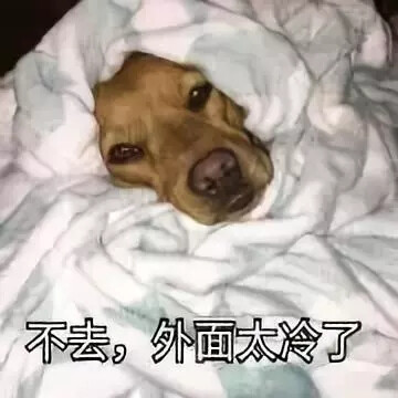 沙雕表情包 图源微博