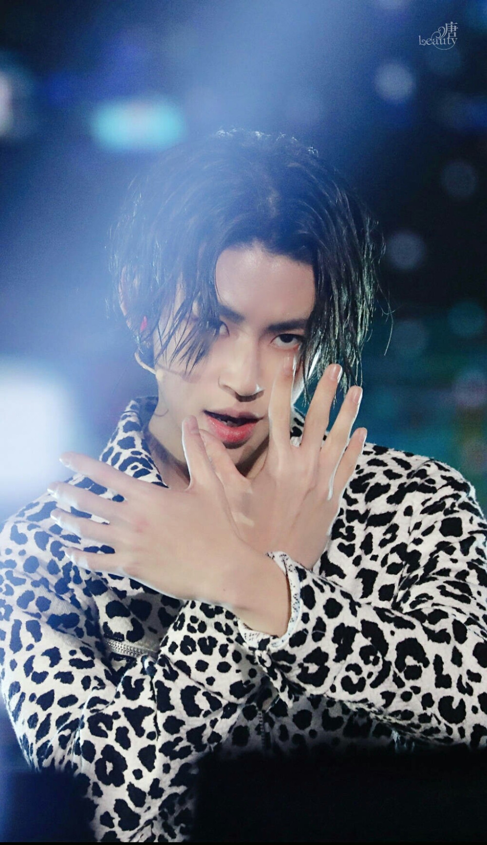 手机壁纸王琳凯