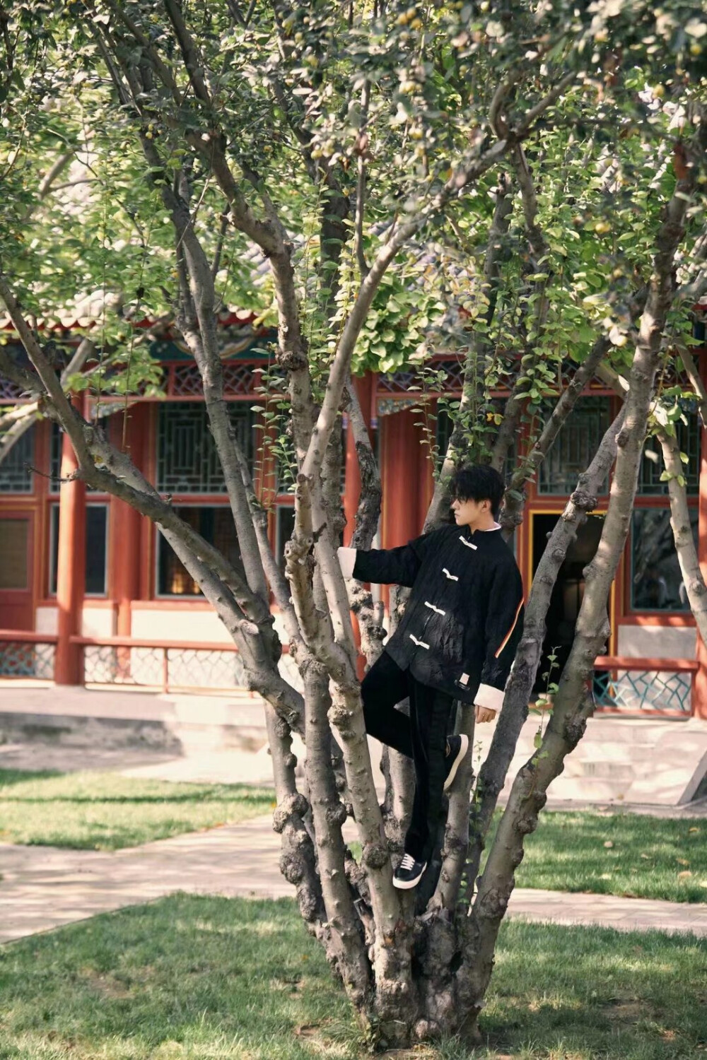 写真「易烊千玺」