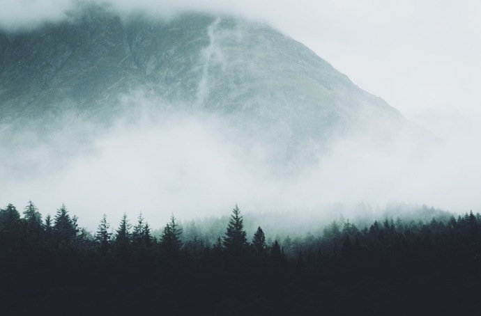 纵使相逢应不识，尘满面，鬓如霜。——苏轼《江城子》