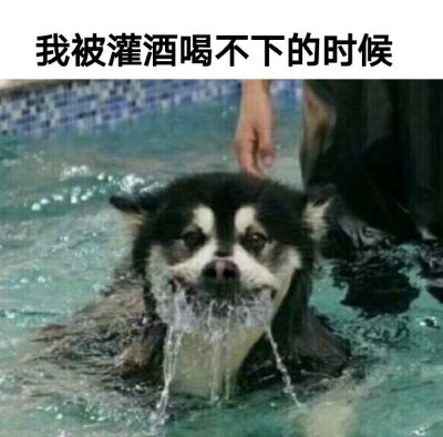 是我本人没错了