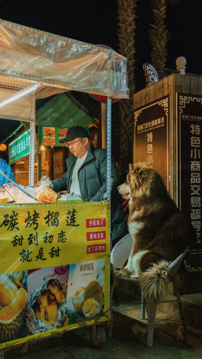 夜色下的大理古城。