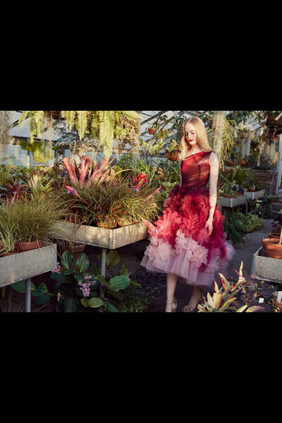 Marchesa（玛切萨）2019早秋系列型录