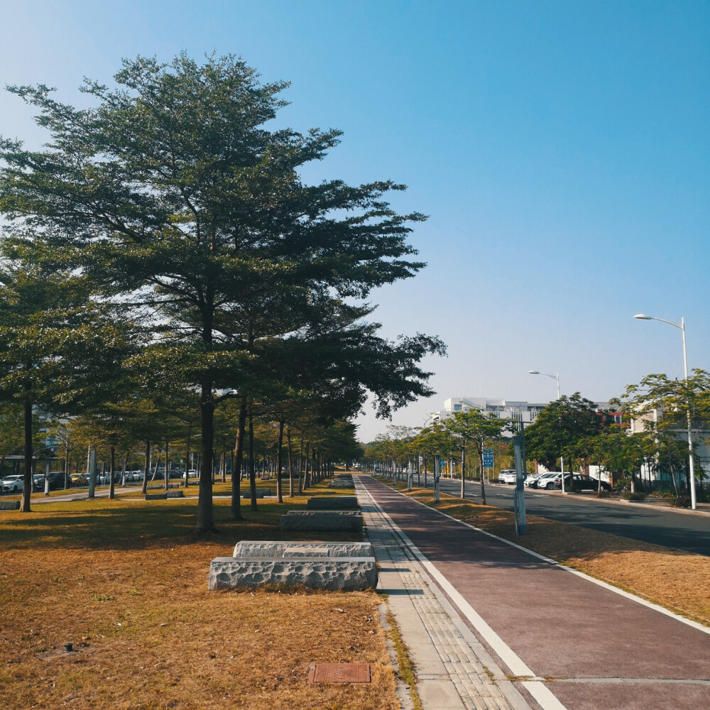 广州大学城