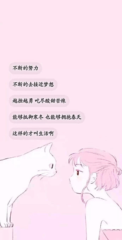 壁纸