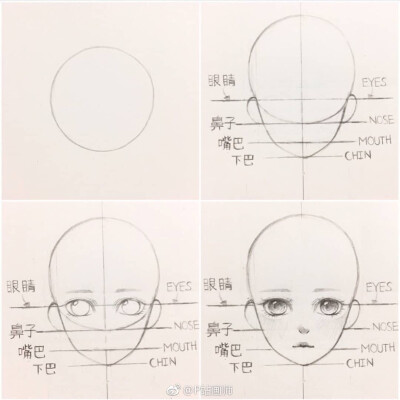 脸型比例