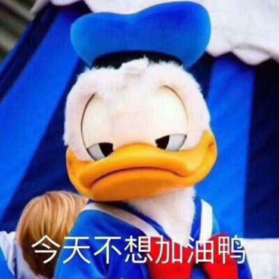 沙雕