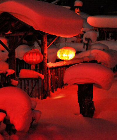 若逢新雪初霽，滿月當(dāng)空，下面平鋪著皓影，上面流轉(zhuǎn)著亮銀，而你帶笑地向我走來。月色和雪色之間，你是第三種絕色。——余光中