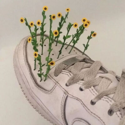 我喜欢你来自左肩