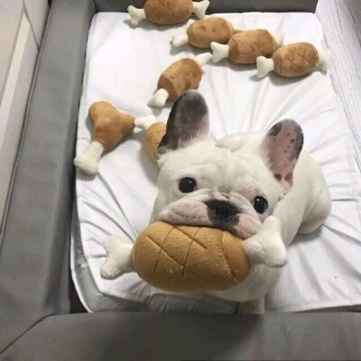 我喜欢你来自左肩