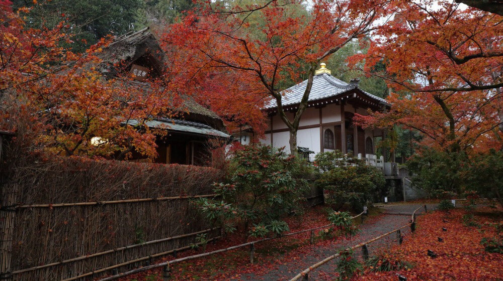 京都