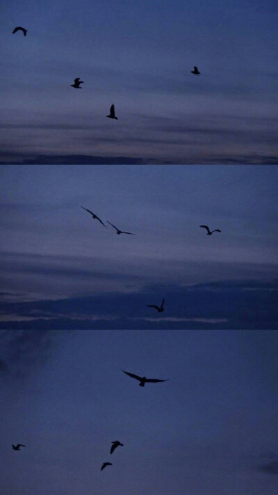 你的眼底是一片蓝