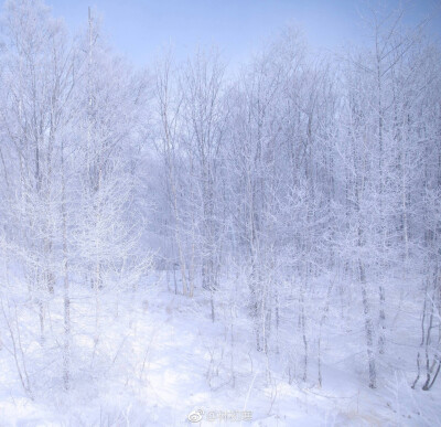 雪景