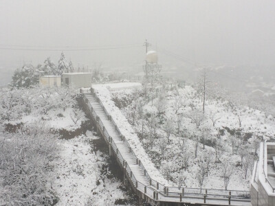 雪景