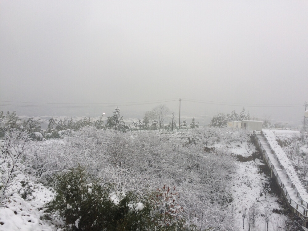 雪景