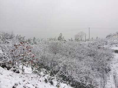 雪景