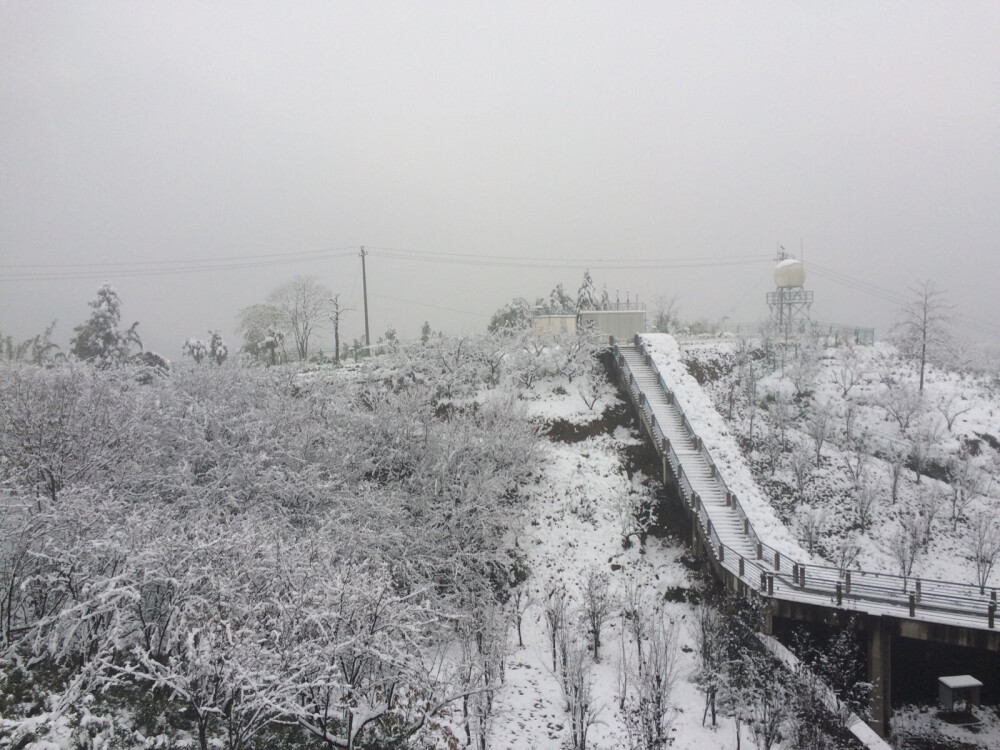 雪景