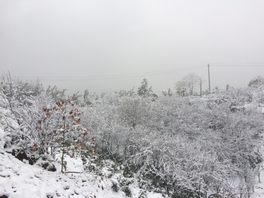 雪景