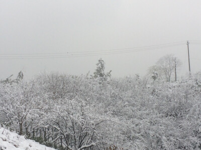 雪景