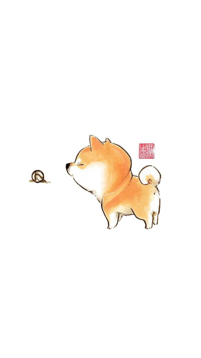 柴犬壁纸