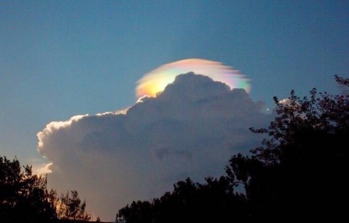 彩虹鸭
（背景图）