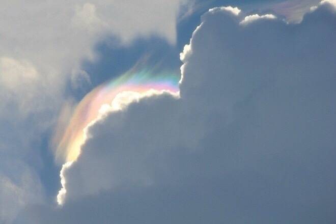 彩虹鸭
（背景图）