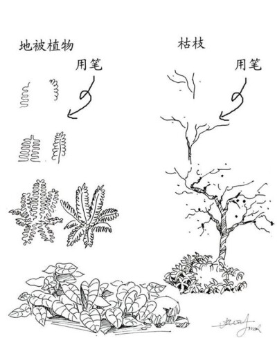 钢笔画，收藏的