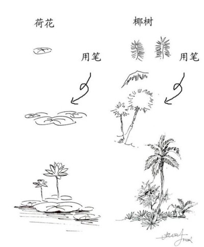 钢笔画，收藏的