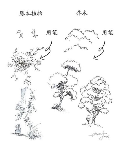 钢笔画，收藏的