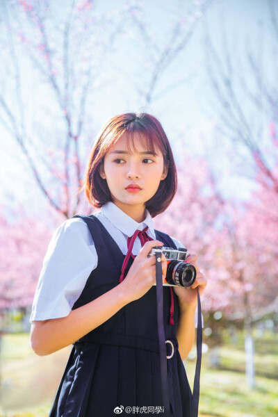 樱花，樱花，想见你
麻豆：@摄影师白日梦-M
摄影：@胖虎同學i ​