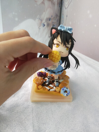 181003萌猫赫德斯